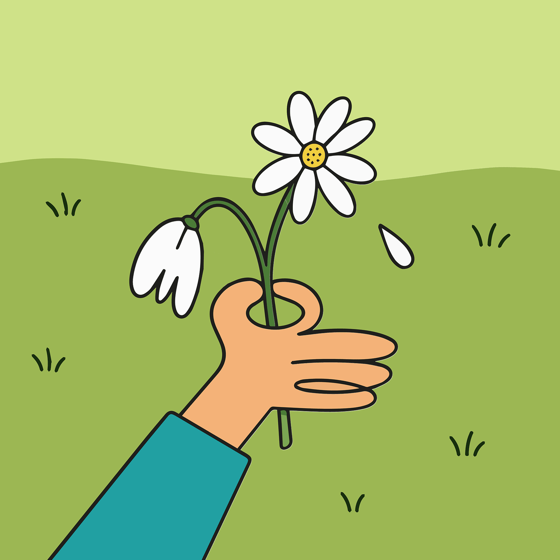 Illustrated hand holding a daisy